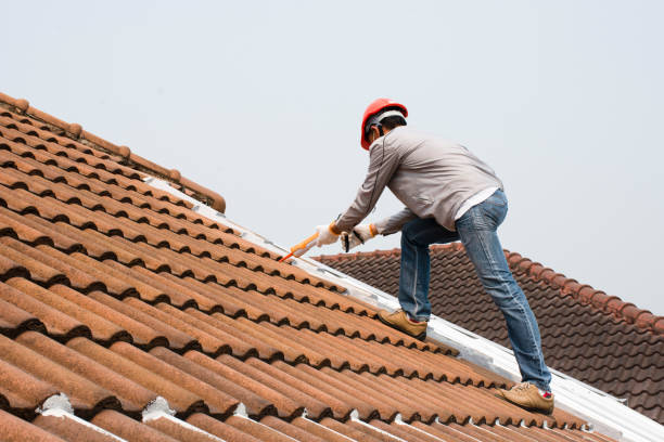 Best Storm Damage Roof Repair  in Mims, FL