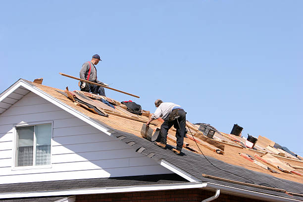 Best Roof Installation  in Mims, FL